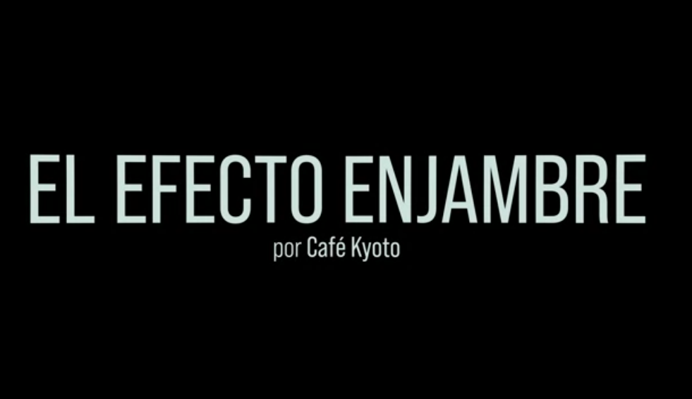 El efecto ENJAMBRE y el FIN de la HUMANIDAD - Franco "Bifo" Berardi